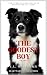 The Goodest Boy, Volume 2: ...