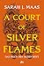 A Court of Silver Flames (Das Reich der sieben Höfe, #5)