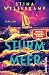 Sturmmeer
