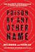 Prison by Any Other Name: T...