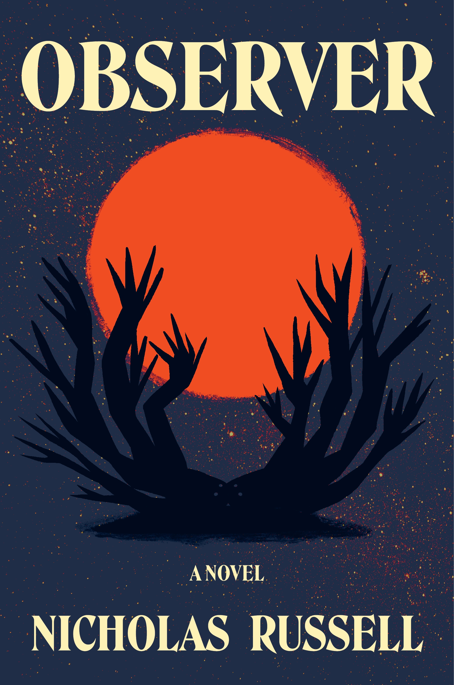 Observer: A Novel