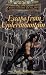 Escape from Undermountain: The Nobles, Volume 3