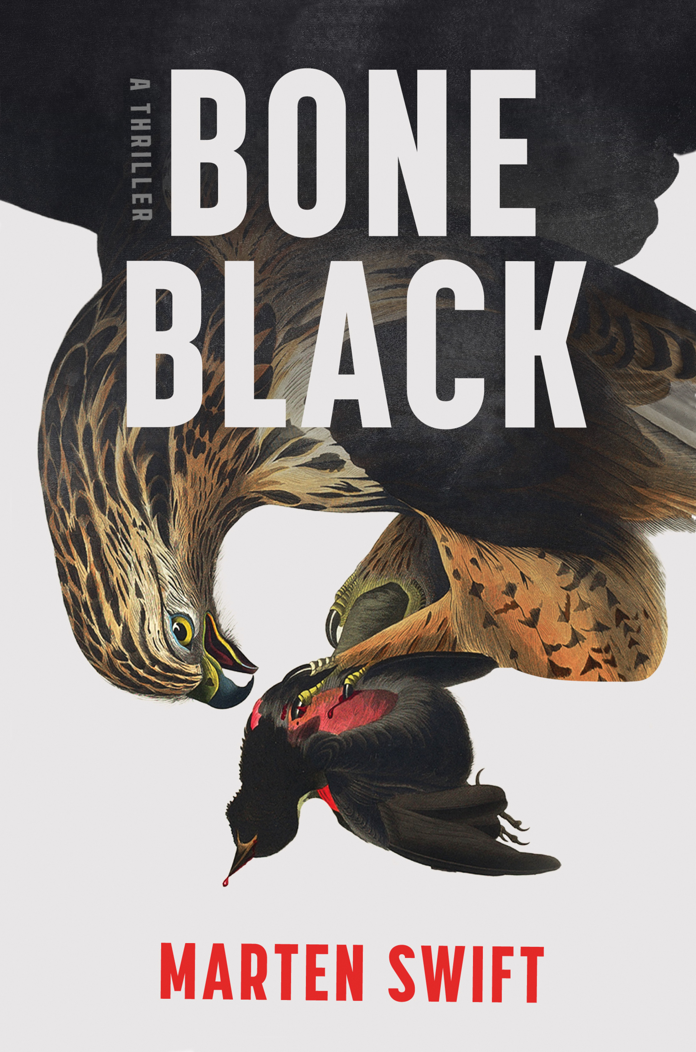 Bone Black (Hardcover)