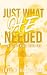 Just What He Needed: (Illic...