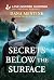 Secrets Below the Surface by Dana Mentink
