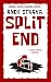 Split End: A Jesus Spares M...