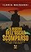 Il mistero dell'Oscar scomparso: Commedia gialla di vanità, furti e pappagalli (Italian Edition)
