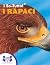 I So-Tutto!® I Rapaci