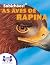 Sabichões!® As Aves de Rapina