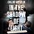 In the Shadow of Eight by Collin Gosselin