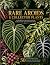 Rare Aroids & Collector Pla...