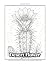 Desert Flower: A devotional...