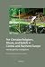Pre-Christian Religions, Rituals, and Beliefs in Central and ... by Paweł Szczepanik