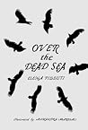 Over the Dead Sea