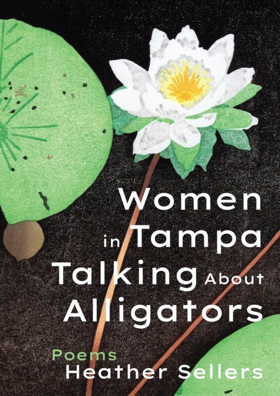 Women in Tampa Talking about Alligators (Paperback)