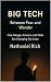 Big Tech: Between Fear and Wonder: How Google, Amazon, and Meta Are Changing Our Lives