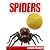 Spiders - Teach Your Kids A...