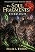 The Soul Fragments by Felix I Thorn