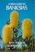 A Field Guide to Banksias