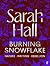 Burning Snowflake