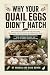 Why Your Quail Eggs Didn't ...
