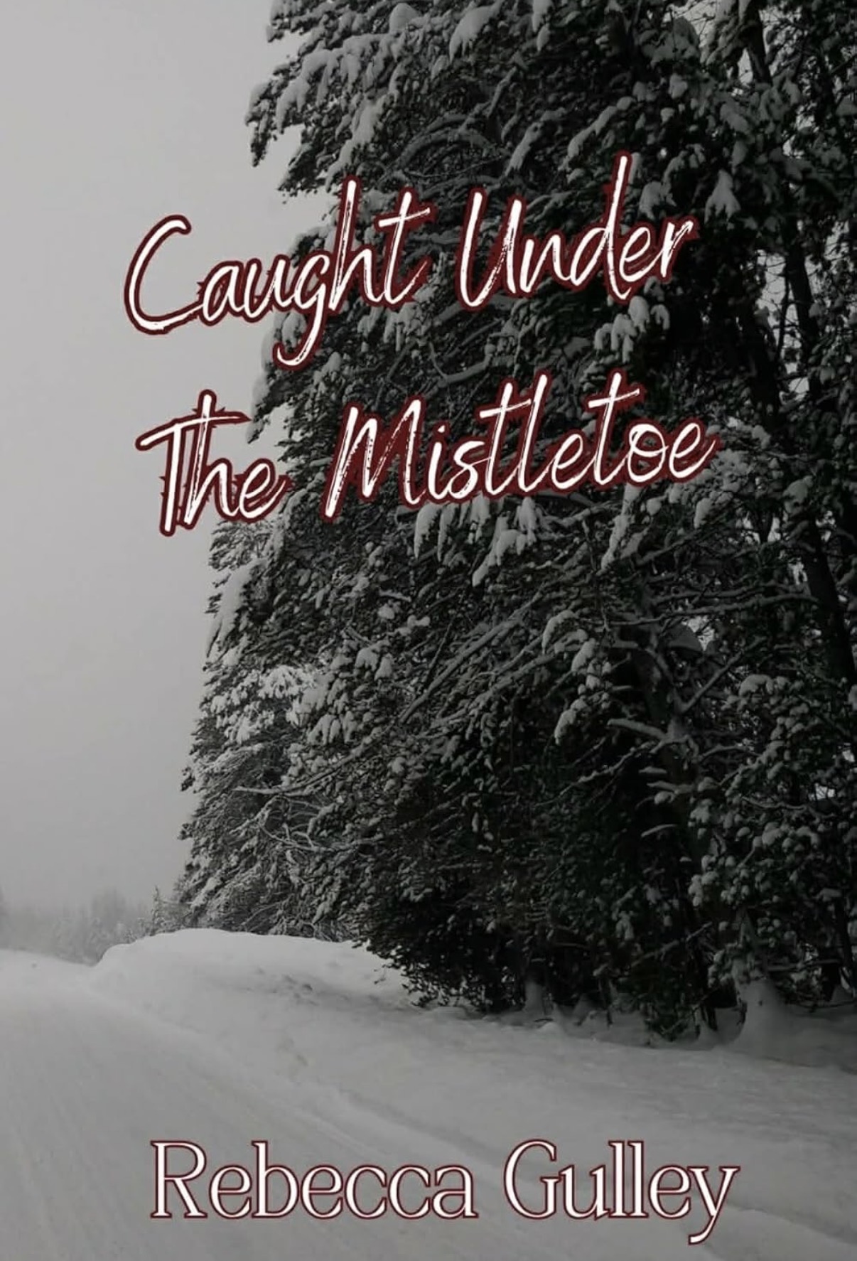 Caught Under The Mistletoe (River Valley)
