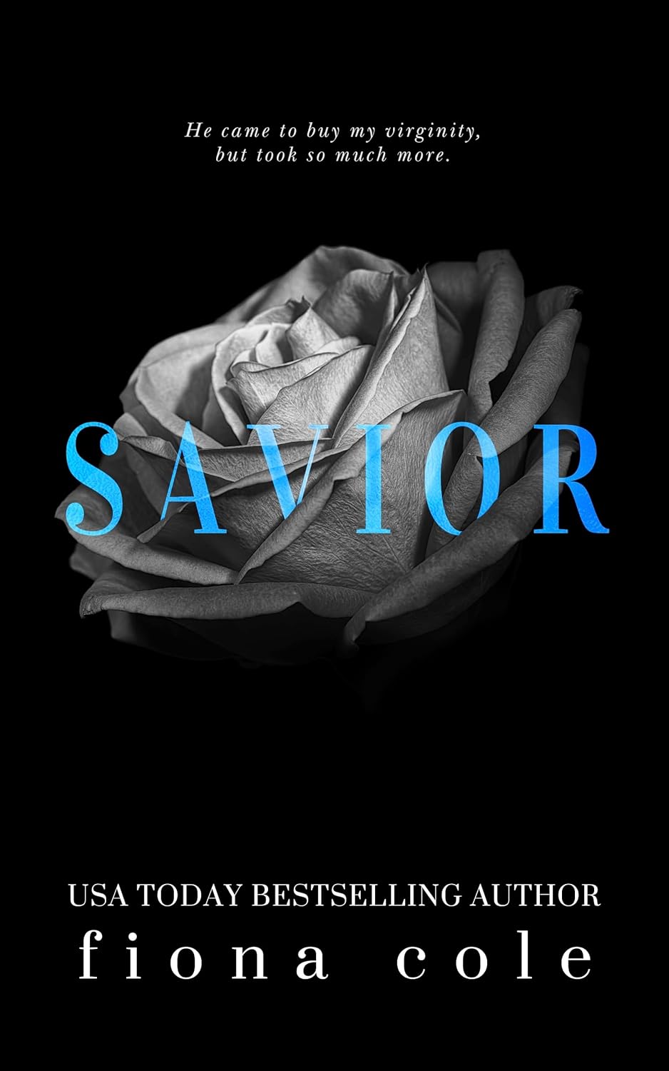 Savior (Voyeur, #3)