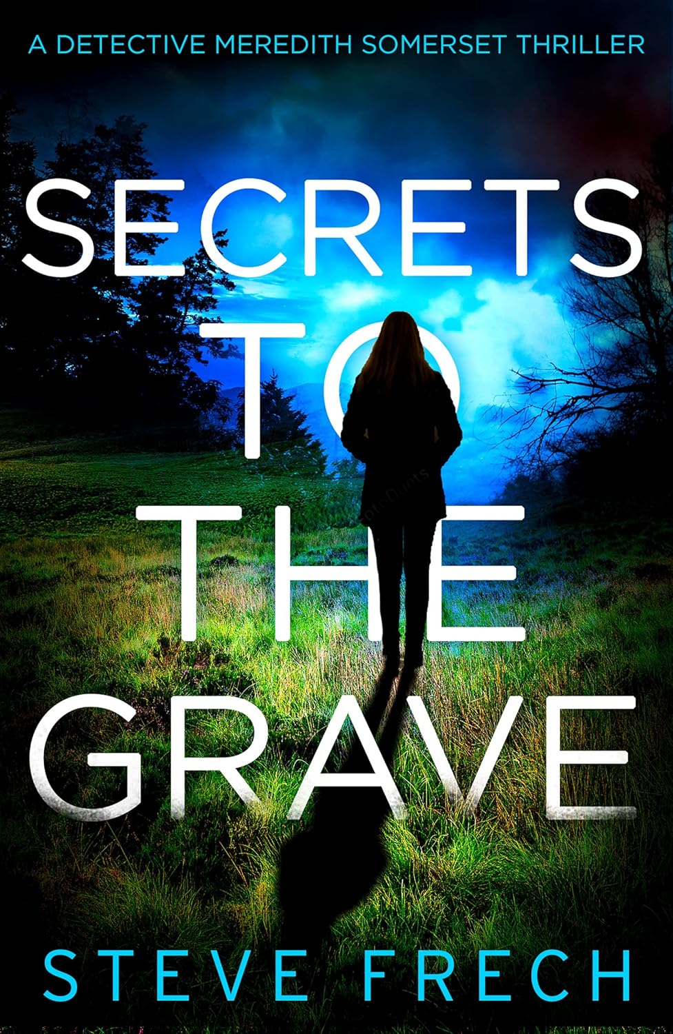 Secrets to the Grave (Detective Somerset #1)