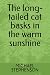 The long-tailed cat basks i...