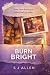 Burn Bright by S.J.  Allen