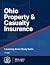 Ohio Property and Casualty Insurance License Exam Study Guide... by Alex Matin