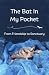The Bat In My Pocket by Amanda Lollar
