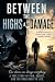 Between the highs and the damages by Aaron Ryan