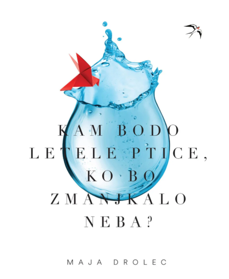 Kam bodo letele ptice, ko bo zmanjkalo neba (Paperback)