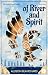 Of River and Spirit by Allison  Blanchard