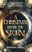 The Christmas Before the Storm by Fernanda Amaral