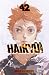 Haikyû!! nº 42/45
