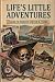 Life's Little Adventures: A Collection of Flash Fiction
