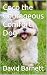 Coco the Courageous Comfort Dog by David Barnett Coco the Courageous Comfort Dog by David Barnett