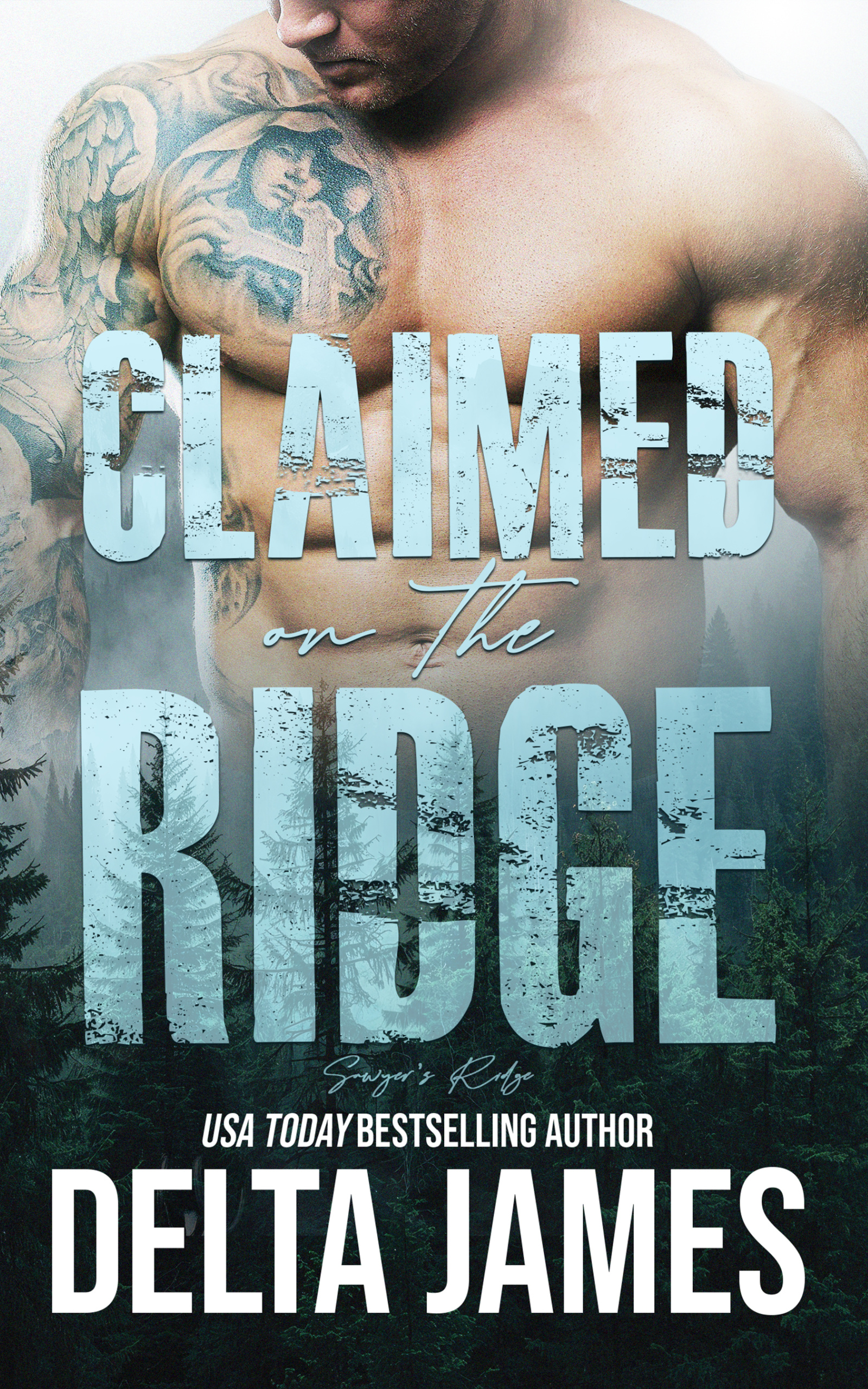 Claimed on the Ridge: A Mountain Man Romantic Suspense (Sawyer's Ridge Book 1)