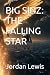 BIG SINZ: THE FALLING STAR