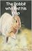 The Rabbit who lost his Hop