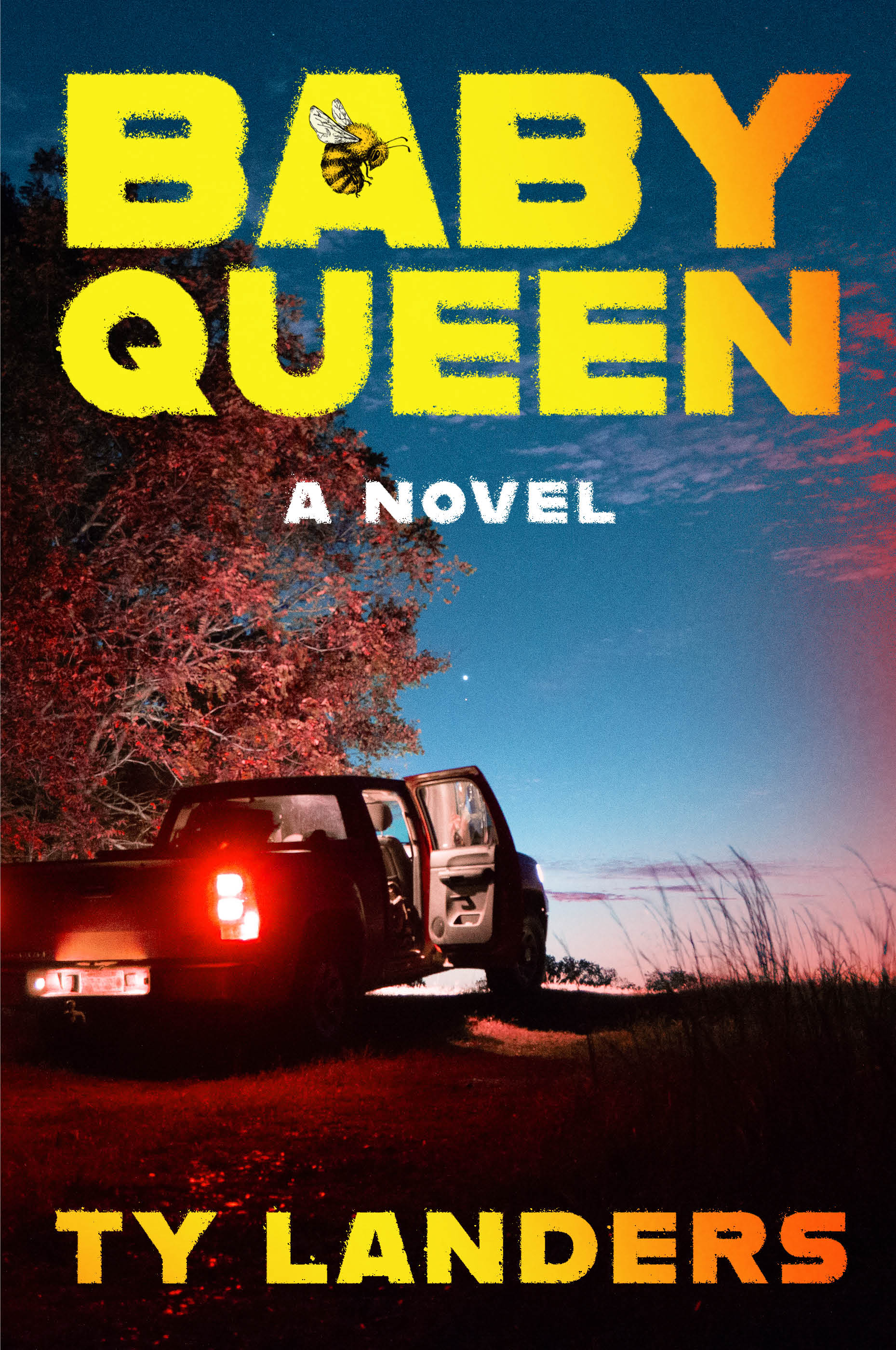 Baby Queen: A Novel