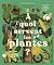A quoi servent les plantes ?