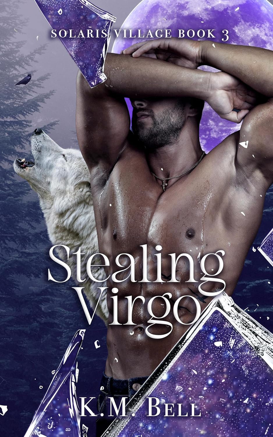 Stealing Virgo (Solaris Village #3)