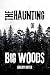 The Haunting of Big Woods