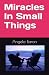 Miracles In Small Things