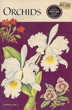 Orchids (Golden Nature Guide)