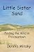 Little Sister Sand: Finding...