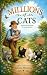 Millions of Cats by Juliana Montoya Millions of Cats by Juliana Montoya